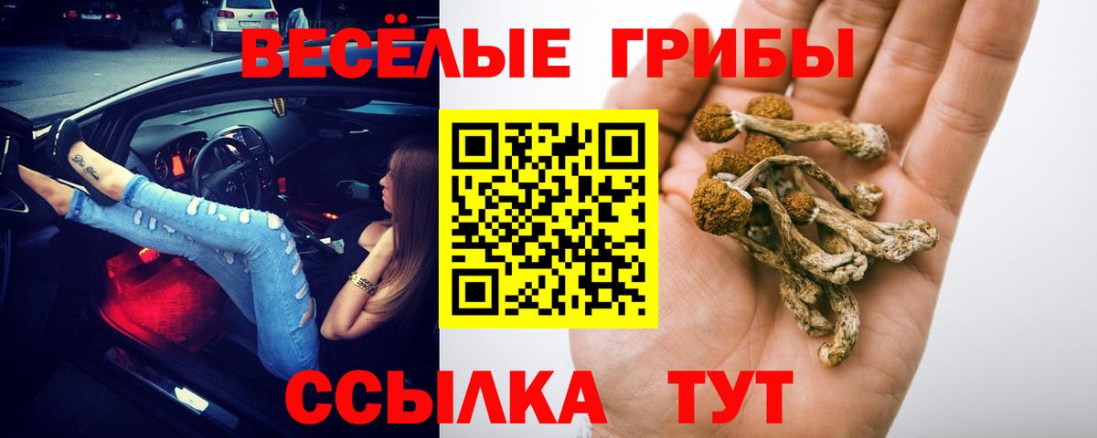 Псилоцибиновые грибы Psilocybe Трёхгорный