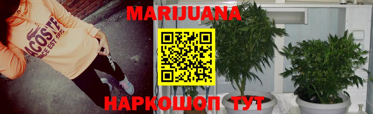 Бошки марихуана ГИДРОПОН  Вход с VPN  Канабис семена  Трёхгорный  Канабис OG Kush 